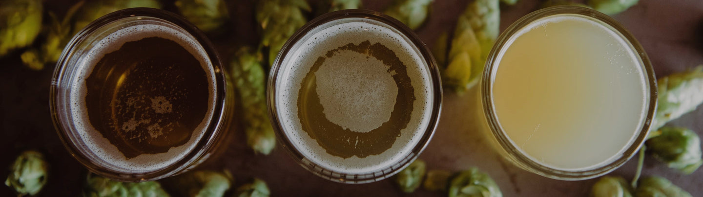 La ruota degli aromi della birra
