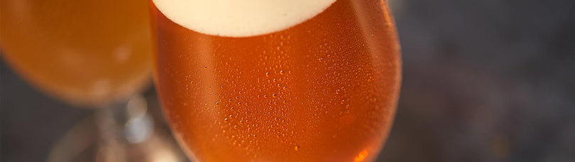 Cos'è la birra IPA?