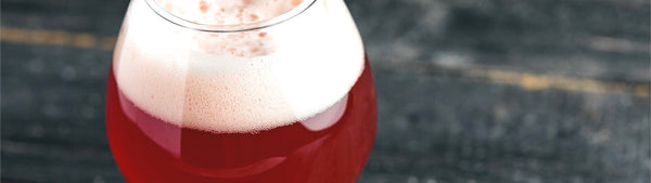 Sour beer and food pairing