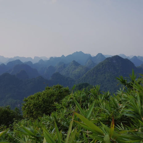 A view overlooking a green, mountainous landscape.